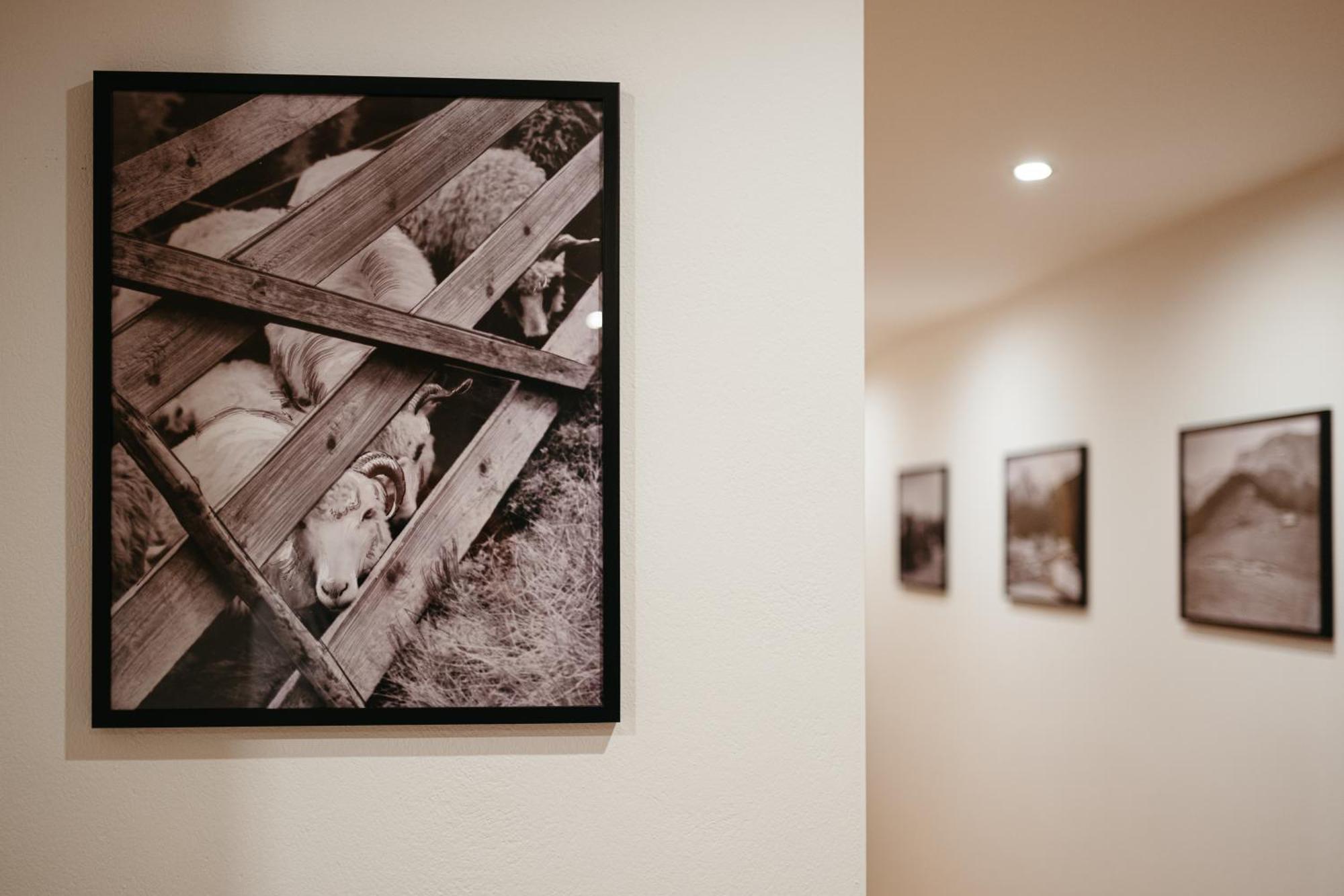 Novopolka Apartamenty Rzepiska 部屋 写真